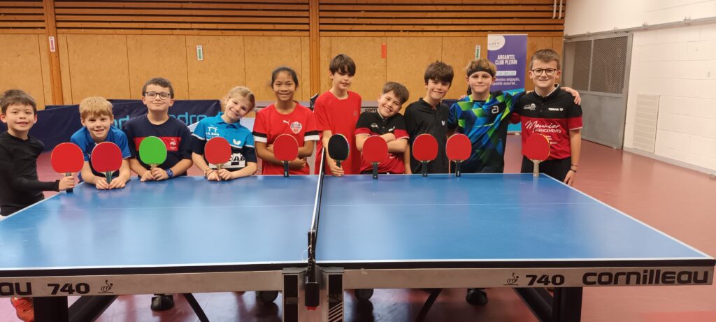 Regroupementcst4fevrier2026plerin